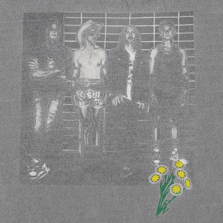 RED HOT CHILI PEPPERS Red Hot Chili Peppers Band T-shirt Band T Men's L size cotton gray type Vintage Second Hand