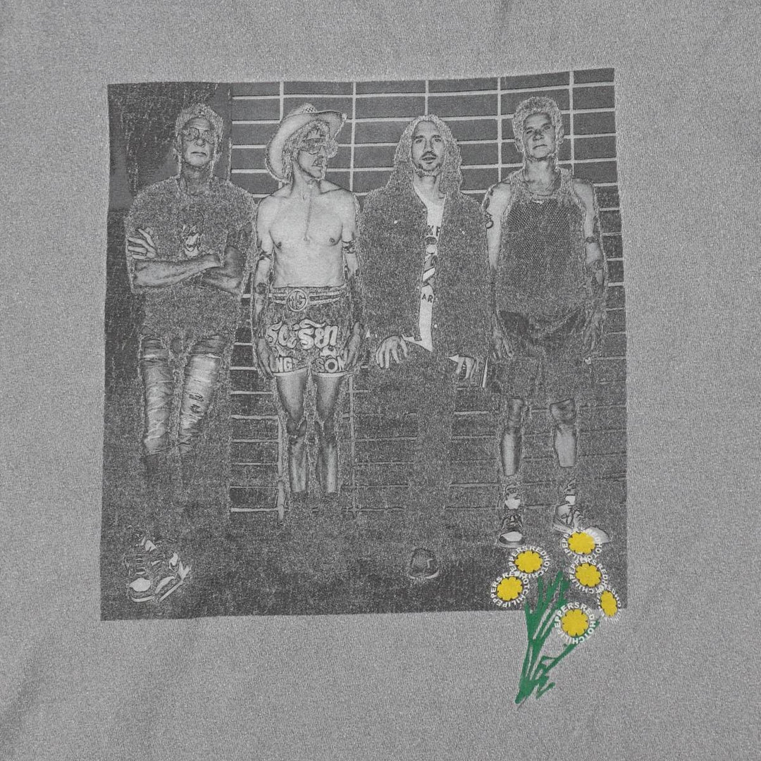 RED HOT CHILI PEPPERS Red Hot Chili Peppers Band T-shirt Band T Men's M size cotton gray type Vintage Second Hand