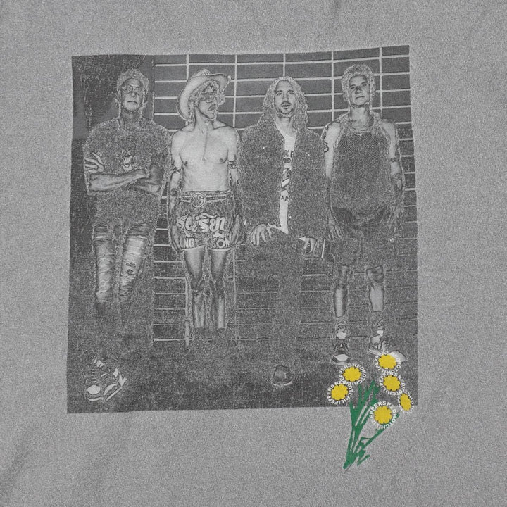 RED HOT CHILI PEPPERS Red Hot Chili Peppers Band T-shirt Band T Men's M size cotton gray type Vintage Second Hand