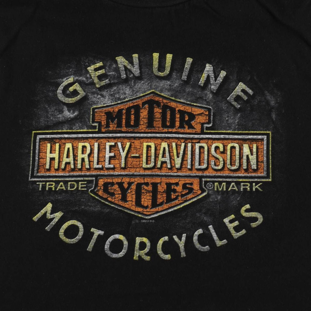 Harley-Davidson Motorcycle Bike T-shirt, Men's XXL cotton black type Vintage Second Hand
