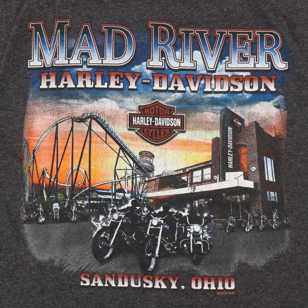 Harley-Davidson Motorcycle Bike T-shirt, Men's XL size cotton Charcoal Vintage Second Hand