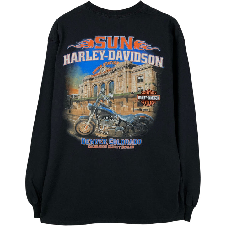 Harley-Davidson Skull Pattern Motorcycle Long-Sleeve T-Shirt (Men's Size L) cotton black type Vintage Second Hand