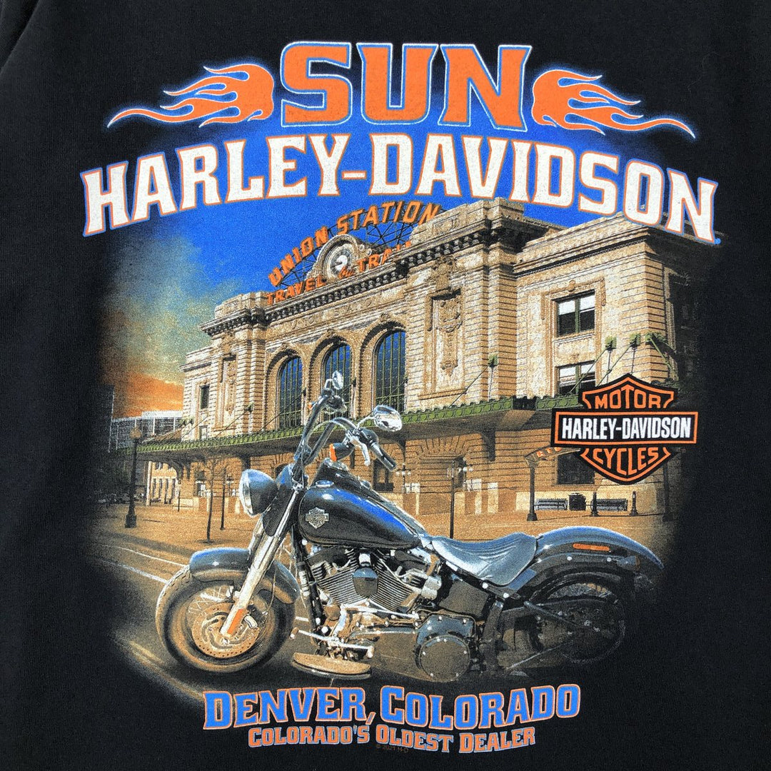Harley-Davidson Skull Pattern Motorcycle Long-Sleeve T-Shirt (Men's Size L) cotton black type Vintage Second Hand