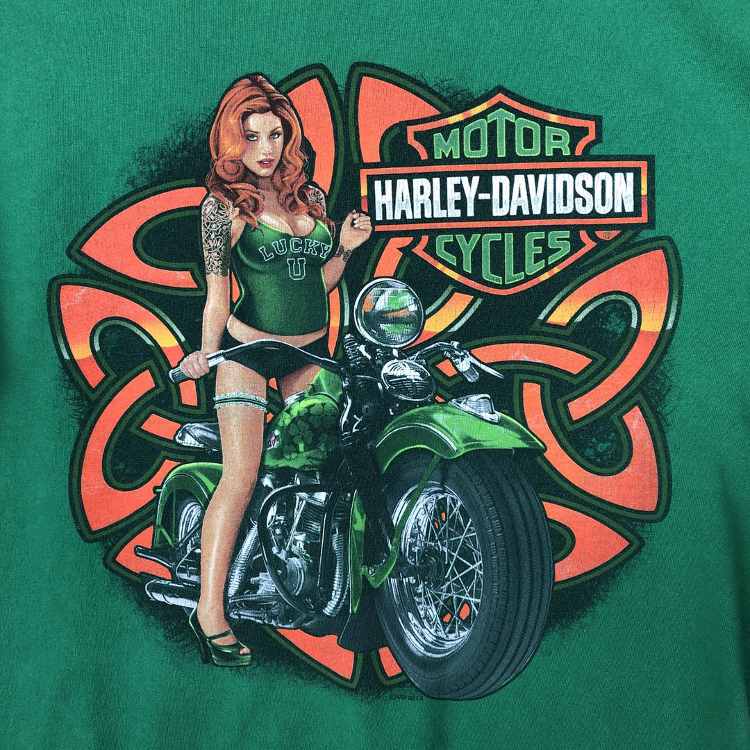 Harley-Davidson Pin-up Girl Motorcycle Long-Sleeve T-Shirt (Men's Size M) cotton green type Vintage Second Hand
