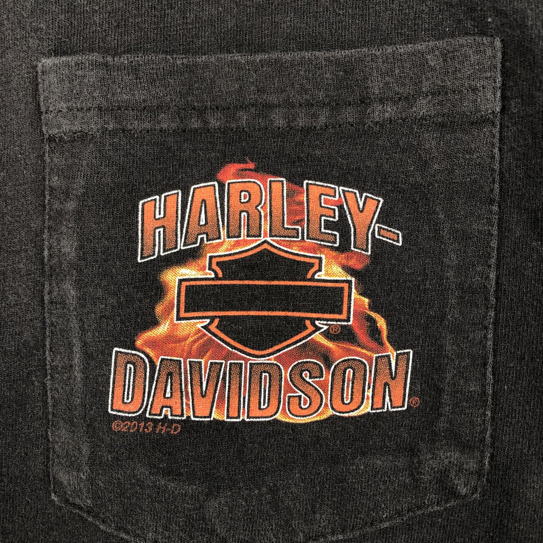 Harley-Davidson Fire Pattern Crocodile Print Motorcycle Long-Sleeve T-Shirt (Men's Size M) unclear black type Vintage Second Hand
