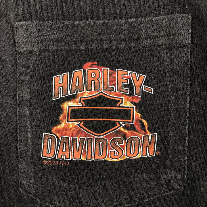 Harley-Davidson Fire Pattern Crocodile Print Motorcycle Long-Sleeve T-Shirt (Men's Size M) unclear black type Vintage Second Hand