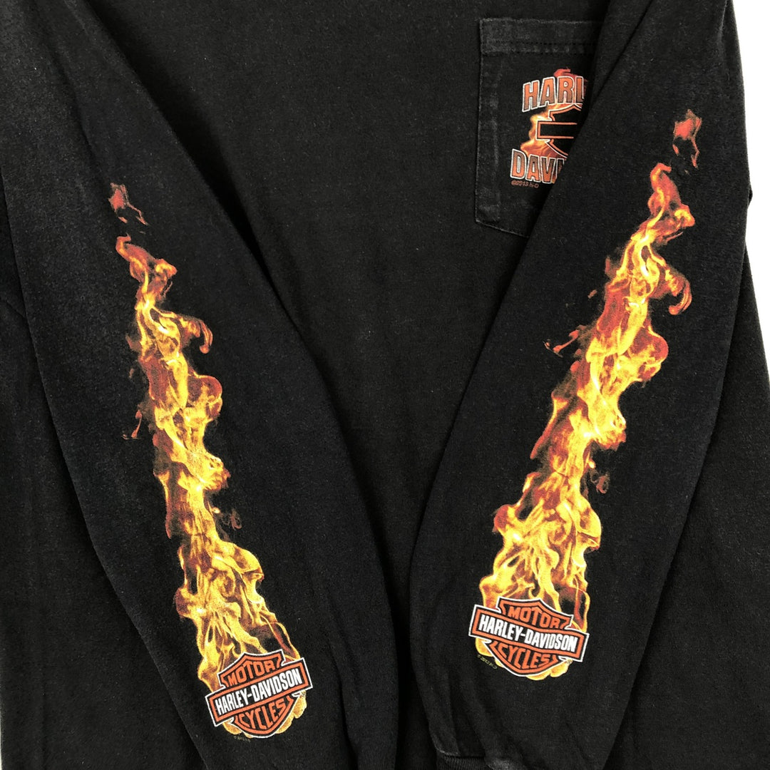 Harley-Davidson Fire Pattern Crocodile Print Motorcycle Long-Sleeve T-Shirt (Men's Size M) unclear black type Vintage Second Hand