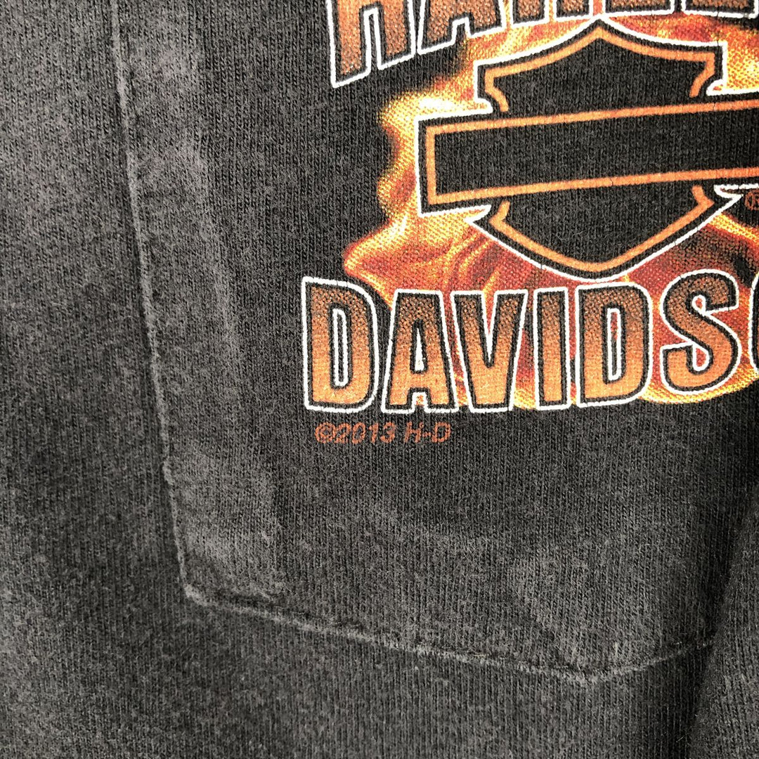 Harley-Davidson Fire Pattern Crocodile Print Motorcycle Long-Sleeve T-Shirt (Men's Size M) unclear black type Vintage Second Hand