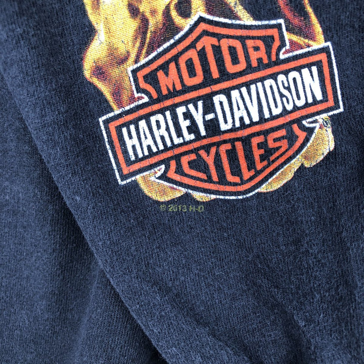 Harley-Davidson Fire Pattern Crocodile Print Motorcycle Long-Sleeve T-Shirt (Men's Size M) unclear black type Vintage Second Hand
