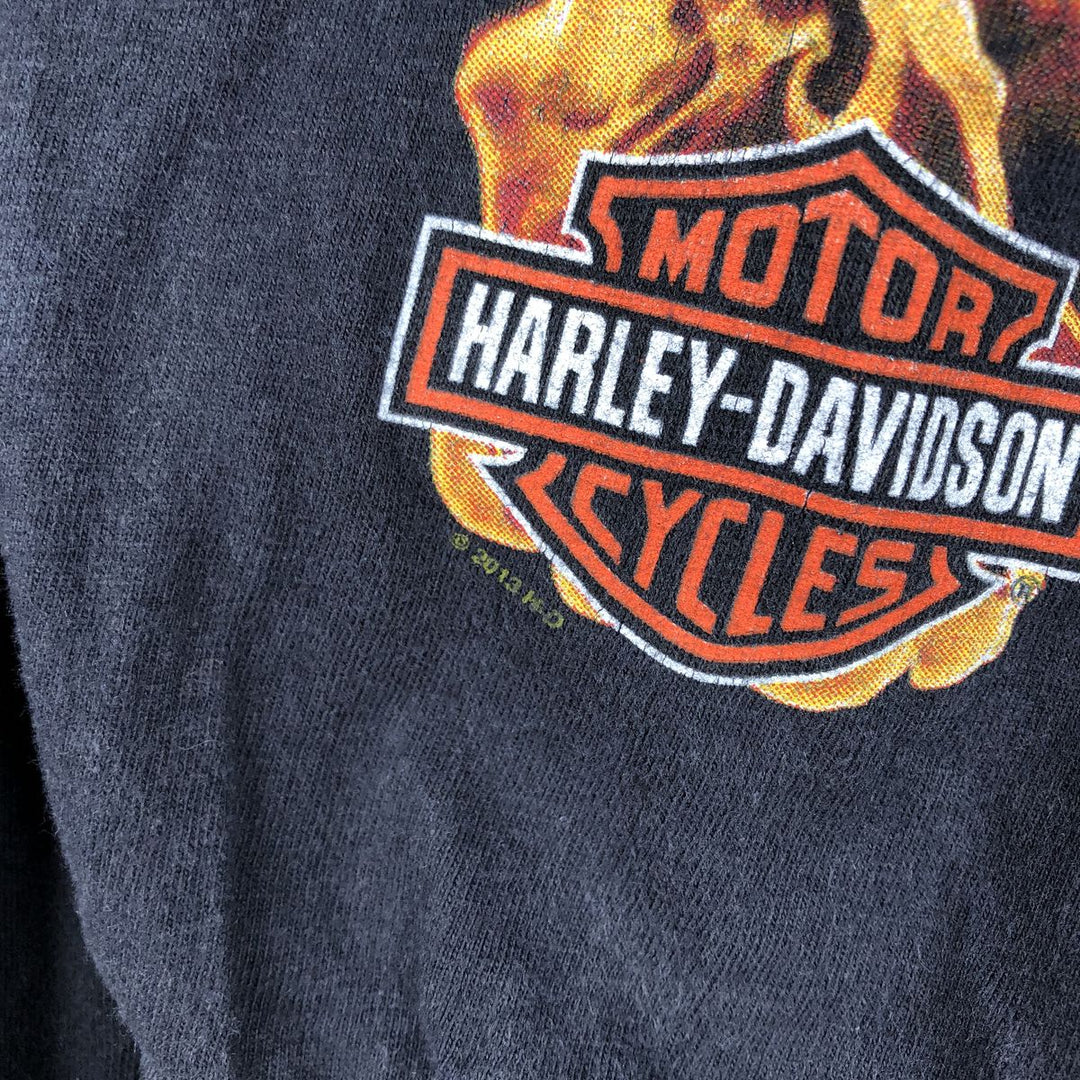 Harley-Davidson Fire Pattern Crocodile Print Motorcycle Long-Sleeve T-Shirt (Men's Size M) unclear black type Vintage Second Hand