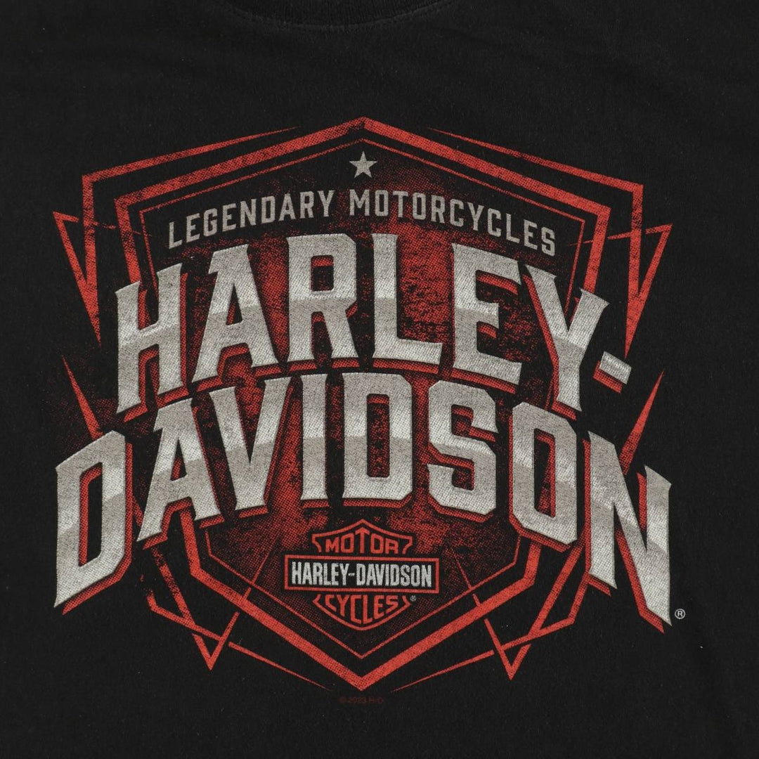 Harley-Davidson Motorcycle Bike T-shirt, Men's XL size cotton black type Vintage Second Hand