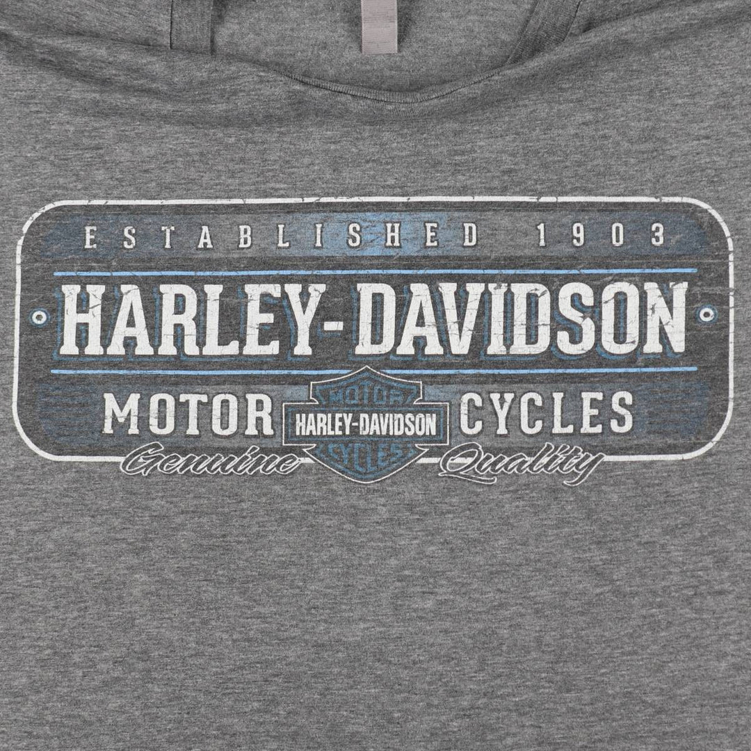 Harley-Davidson Motorcycle Bike T-shirt, Men's Size L unclear gray type Vintage Second Hand