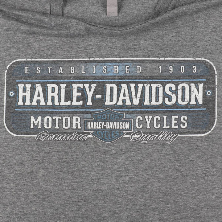 Harley-Davidson Motorcycle Bike T-shirt, Men's Size L unclear gray type Vintage Second Hand