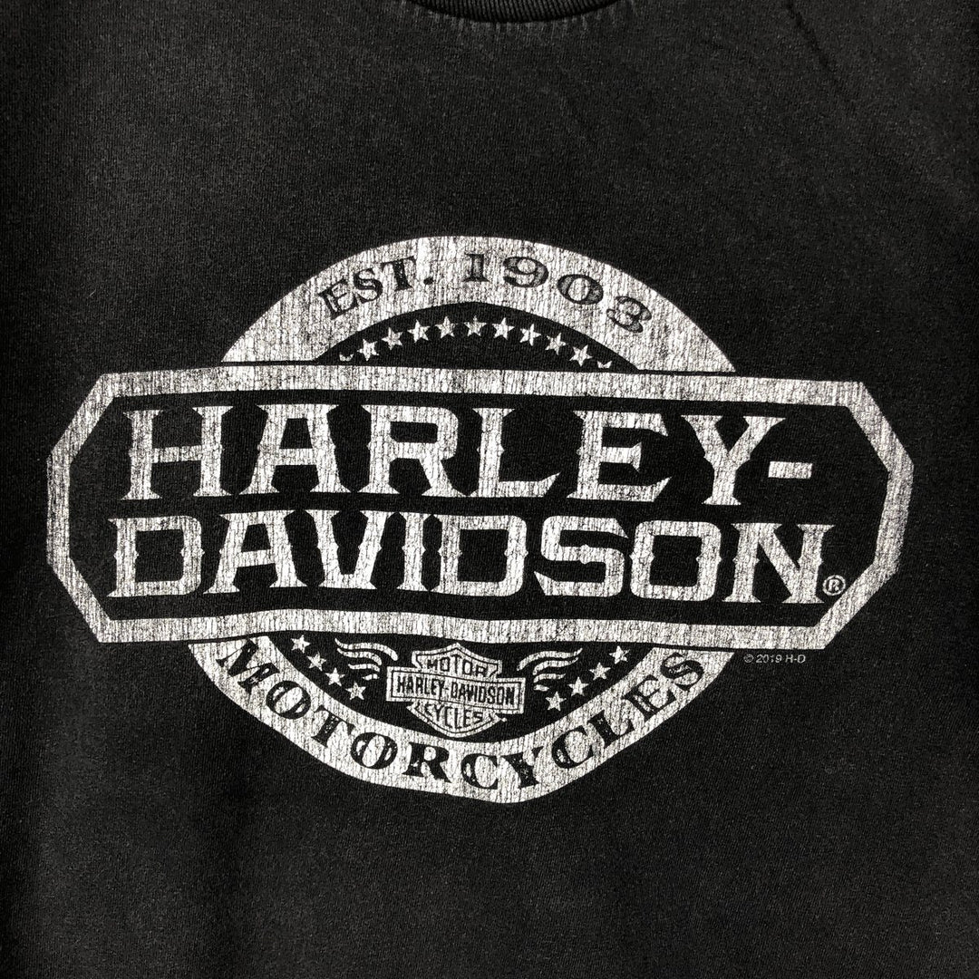 Harley-Davidson Motorcycle Bike T-shirt, Men's Size L cotton black type Vintage Second Hand
