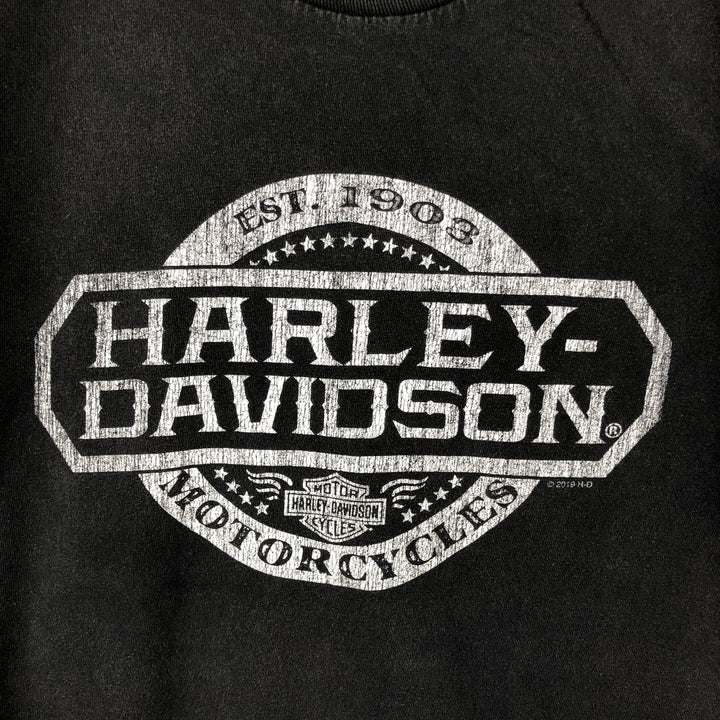 Harley-Davidson Motorcycle Bike T-shirt, Men's Size L cotton black type Vintage Second Hand