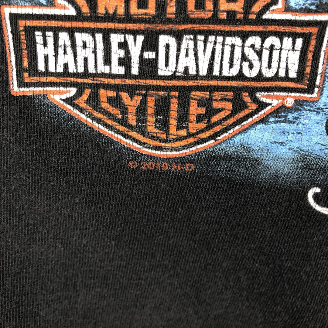 Harley-Davidson Motorcycle Bike T-shirt, Men's Size L cotton black type Vintage Second Hand