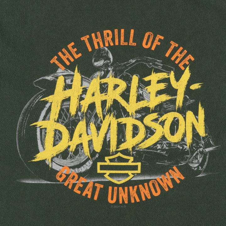 Harley-Davidson Motorcycle Bike T-shirt, Men's Medium unclear dark green Vintage Second Hand
