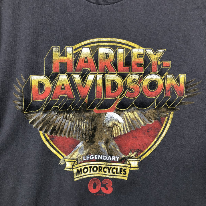 Alstyle Harley-Davidson Eagle Pattern Motorcycle T-Shirt (Men's XL equivalent) cotton Charcoal Vintage Second Hand
