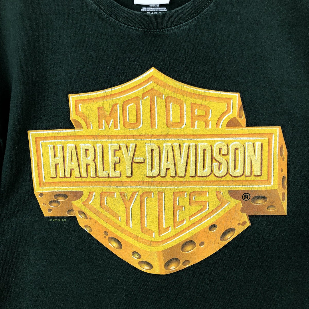 Hanes TAGLESS Harley-Davidson Motorcycle T-Shirt, Men's Size M (approx.) cotton green type Vintage Second Hand
