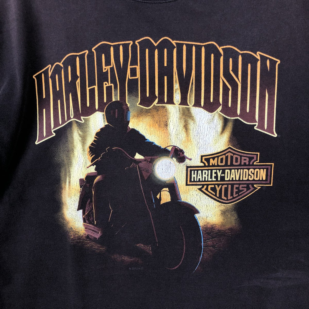 Harley-Davidson Motorcycle Bike T-shirt, Men's XL size cotton brown type Vintage Second Hand