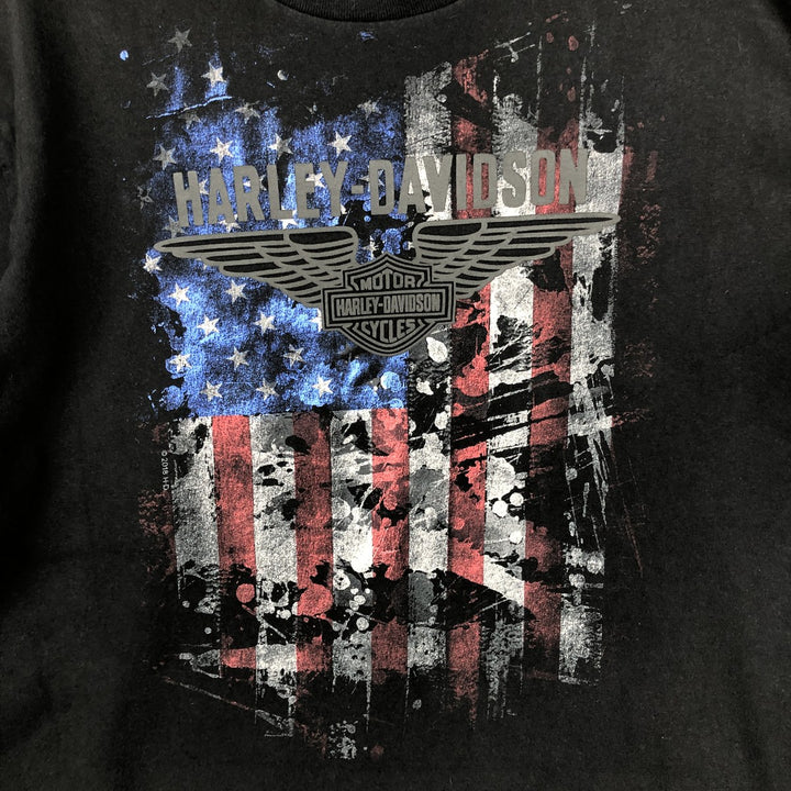 Harley-Davidson Stars and Stripes Motorcycle Bike T-Shirt Made in USA Men's L size cotton black type Vintage Second Hand