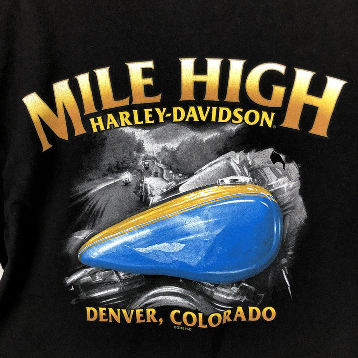 Harley-Davidson Stars and Stripes Motorcycle Bike T-Shirt Made in USA Men's L size cotton black type Vintage Second Hand
