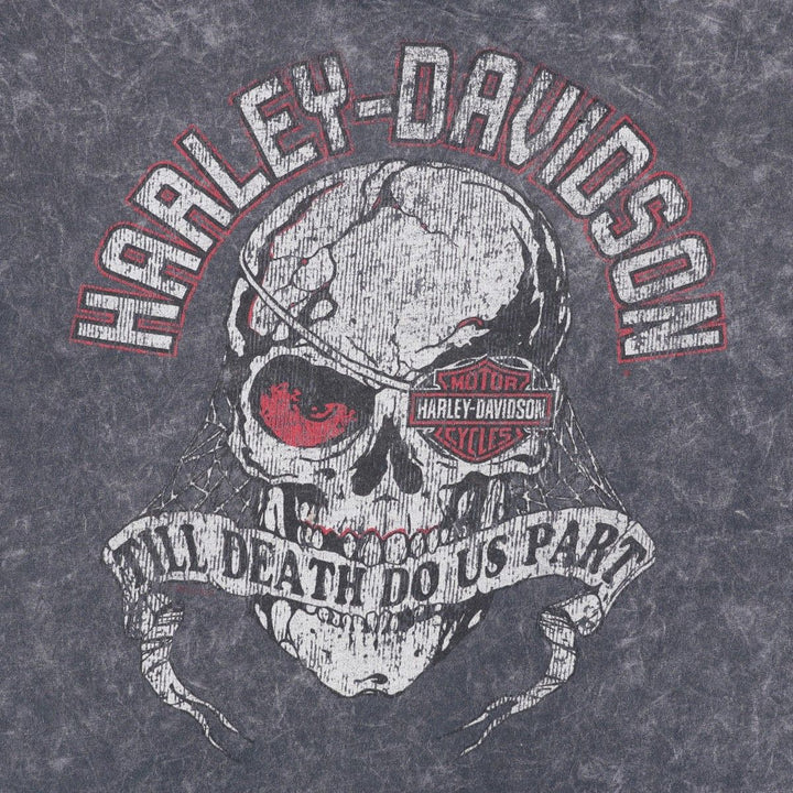 Harley-Davidson Skull Pattern Motorcycle Bike T-shirt Men's XL cotton Charcoal Vintage Second Hand