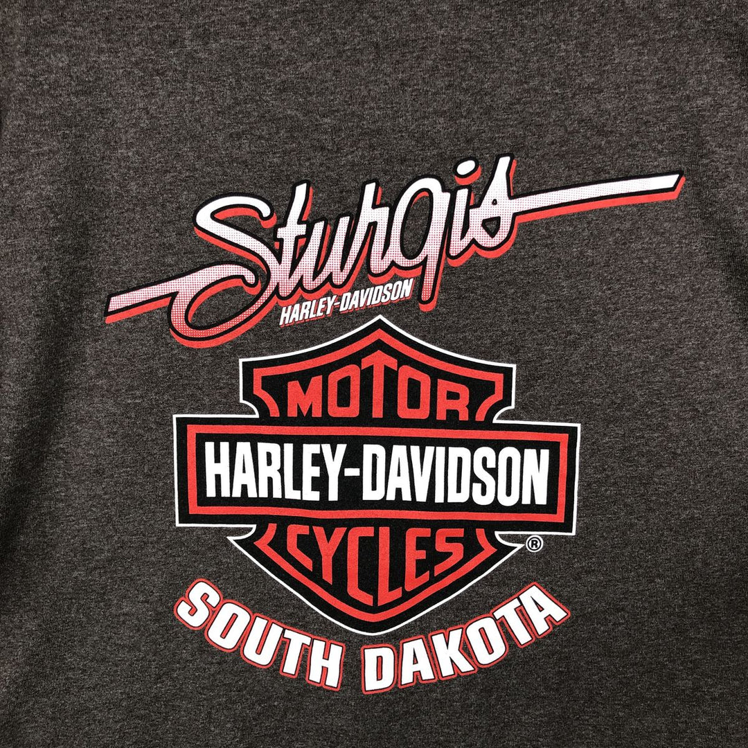 Harley-Davidson Eagle Pattern Motorcycle Bike T-shirt Men's L size unclear Charcoal Vintage Second Hand