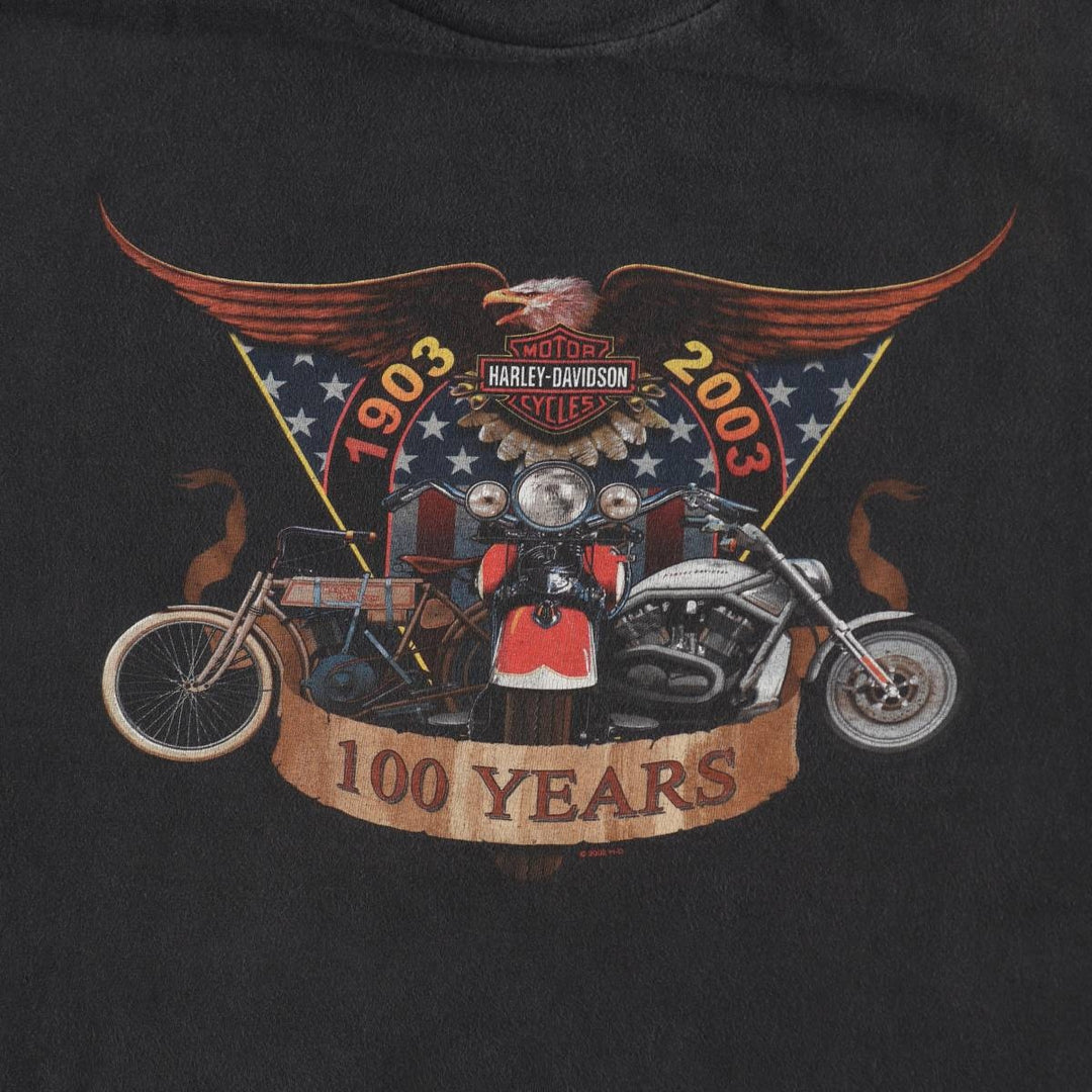 2000'S Harley-Davidson Eagle Pattern Stars and Stripes Motorcycle T-Shirt, Made in USA, Men's XXL cotton Charcoal Vintage Second Hand