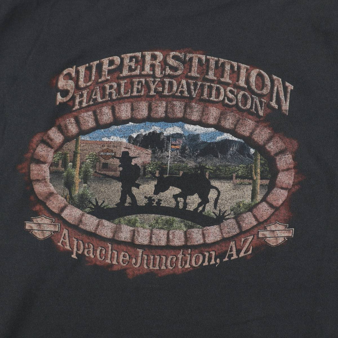 Harley-Davidson Motorcycle Bike T-shirt Made in USA Men's XXL cotton black type Vintage Second Hand