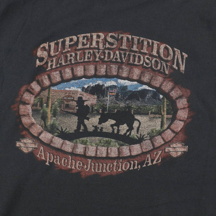 Harley-Davidson Motorcycle Bike T-shirt Made in USA Men's XXL cotton black type Vintage Second Hand
