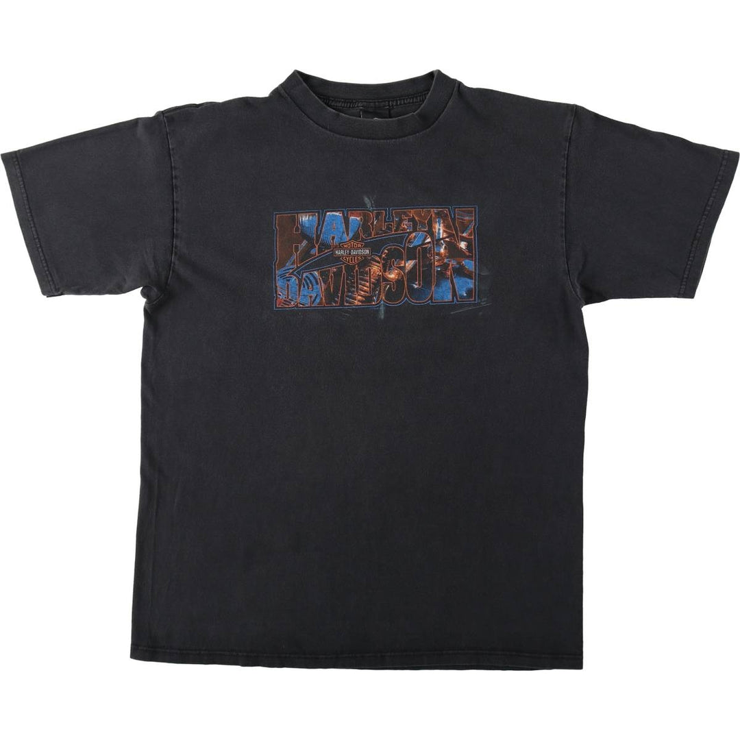 Harley-Davidson Motorcycle Bike T-shirt Made in USA Men's L size cotton black type Vintage Second Hand