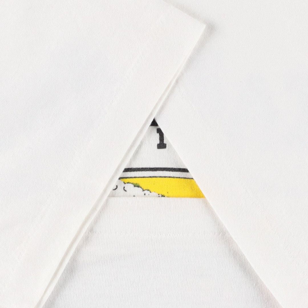 90'S Hanes HEAVYWEIGHT 50 silk white type Vintage Second Hand