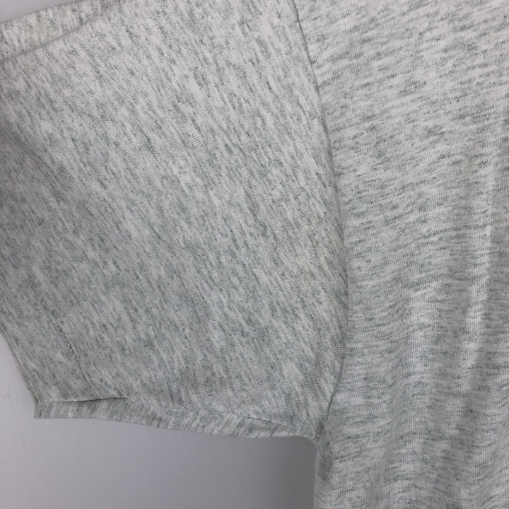 Fruit of the Loom BEST 3-Piece Print College T-Shirt, Made in USA, Men's Size L (Equivalent), Vintage cotton gray type Vintage Second Hand