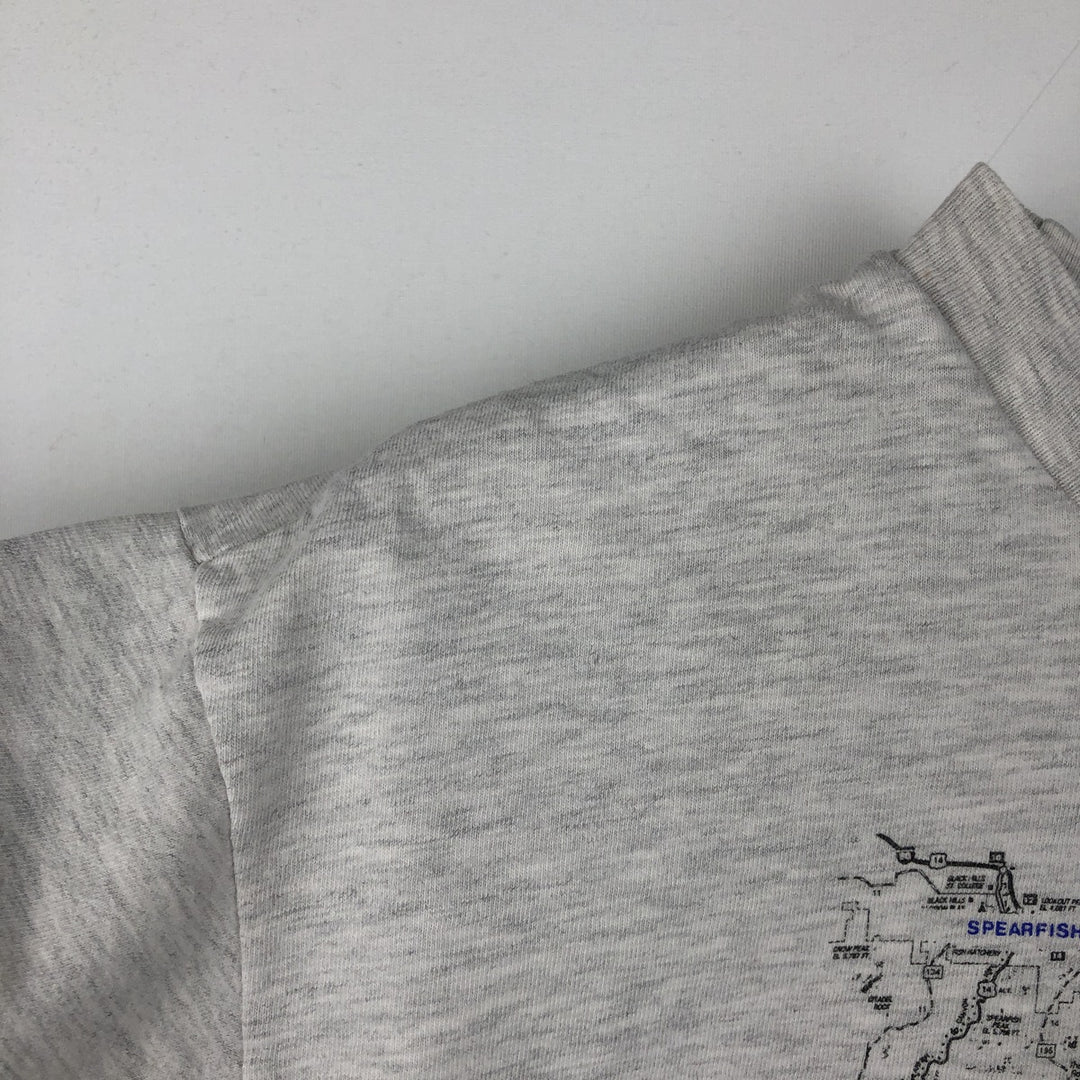90'S Hanes BEEFY-T Printed T-shirt, Made in USA, Men's M, Vintage cotton gray type Vintage Second Hand