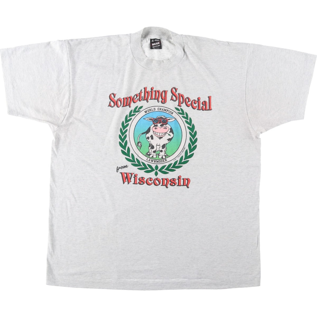90'S Fruit of the Loom Something Special from Wisconsin Print T-Shirt, Made in USA, Men's XL equivalent. cotton gray type Vintage Second Hand