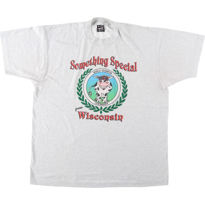 90'S Fruit of the Loom Something Special from Wisconsin Print T-Shirt, Made in USA, Men's XL equivalent. cotton gray type Vintage Second Hand