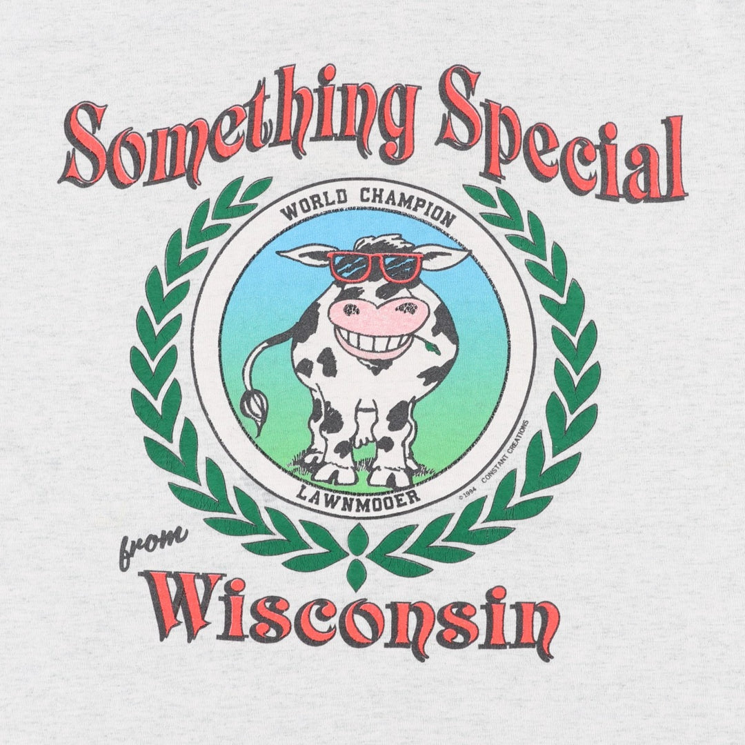 90'S Fruit of the Loom Something Special from Wisconsin Print T-Shirt, Made in USA, Men's XL equivalent. cotton gray type Vintage Second Hand