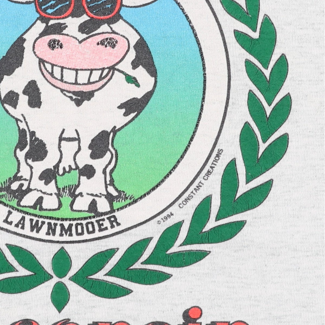 90'S Fruit of the Loom Something Special from Wisconsin Print T-Shirt, Made in USA, Men's XL equivalent. cotton gray type Vintage Second Hand