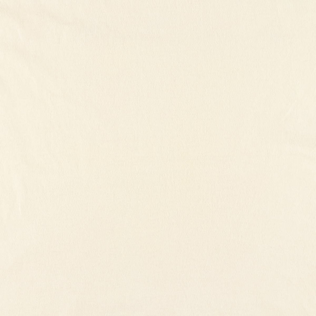 90'S Fruit of the Loom printed T-shirt, made in the USA, men's size L, vintage cotton pale white type Vintage Second Hand