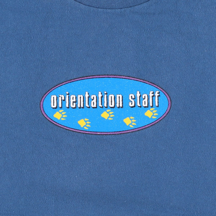 Vintage 90'S Hanes BEEFY-T Printed T-Shirt, Men's Size XL cotton blue type Vintage Second Hand