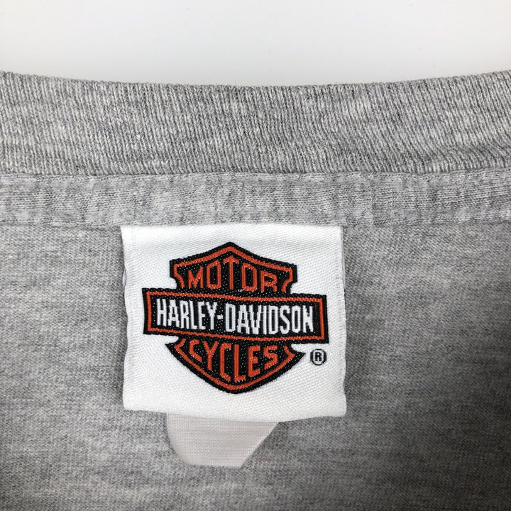Harley-Davidson Fire Pattern Motorcycle Long-Sleeve T-Shirt (Men's XL equivalent) unclear gray type Vintage Second Hand