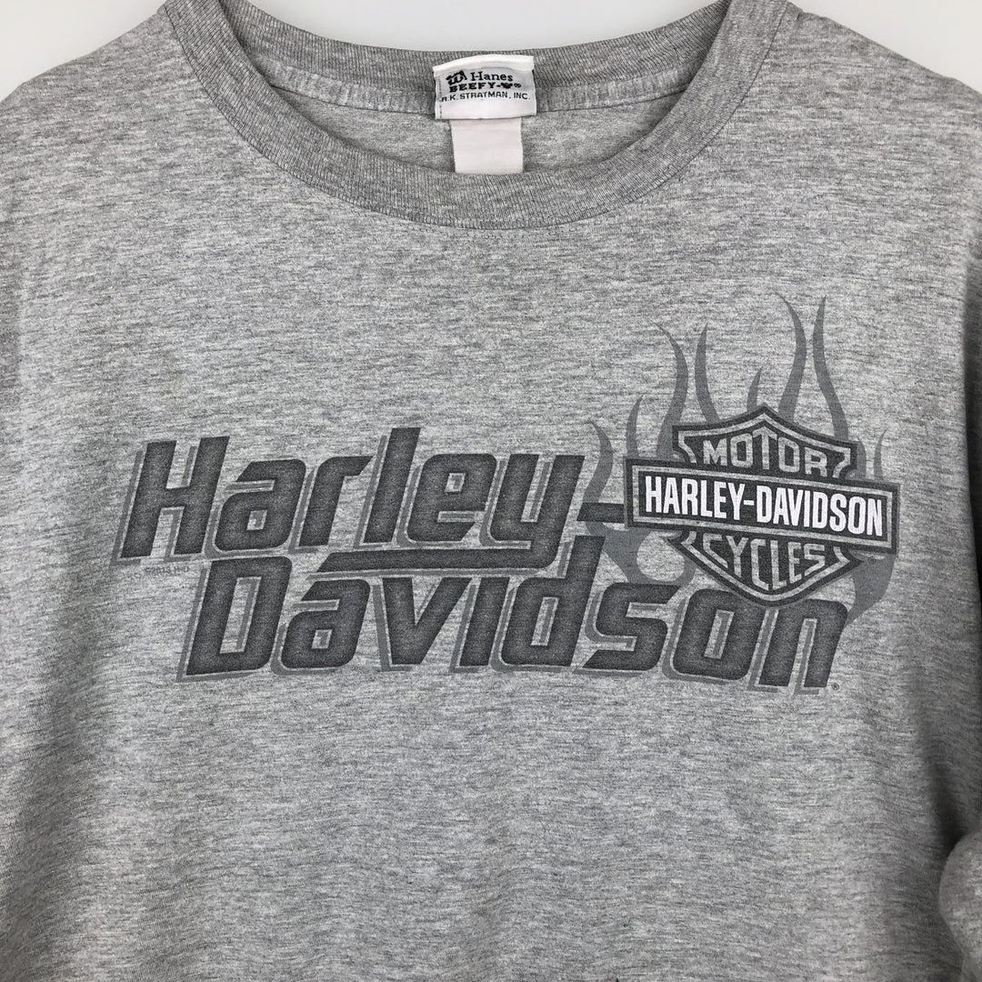 Harley-Davidson Fire Pattern Motorcycle Long-Sleeve T-Shirt (Men's XL equivalent) unclear gray type Vintage Second Hand
