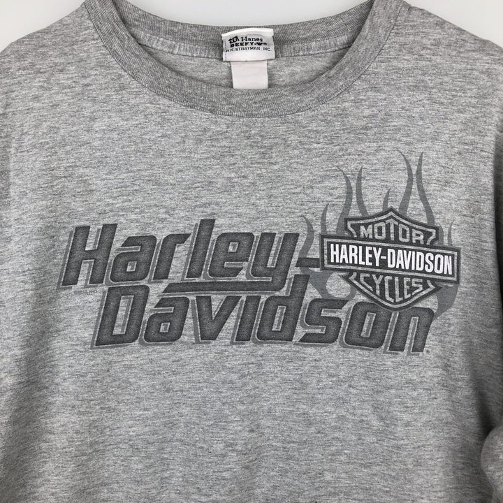 Harley-Davidson Fire Pattern Motorcycle Long-Sleeve T-Shirt (Men's XL equivalent) unclear gray type Vintage Second Hand