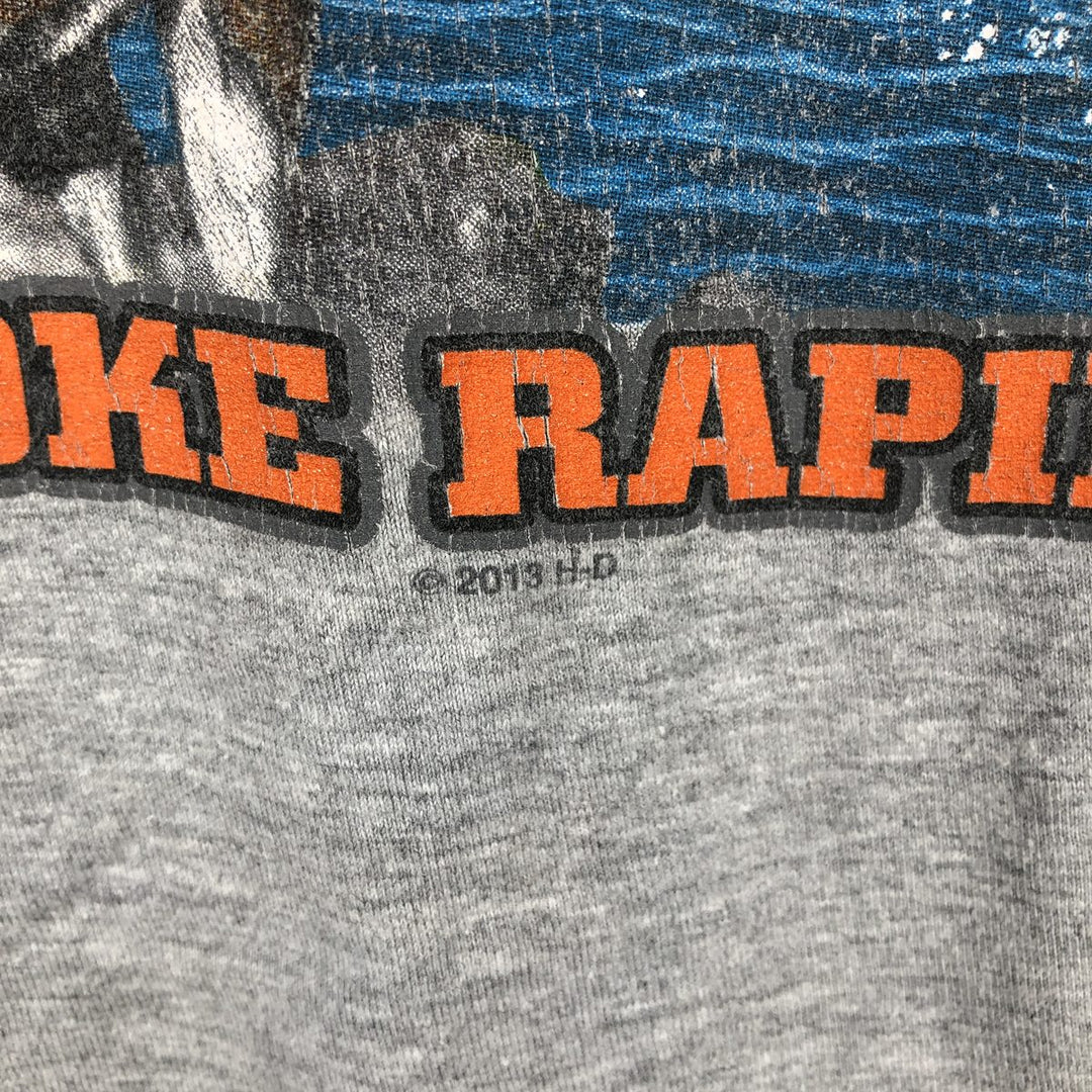 Harley-Davidson Fire Pattern Motorcycle Long-Sleeve T-Shirt (Men's XL equivalent) unclear gray type Vintage Second Hand