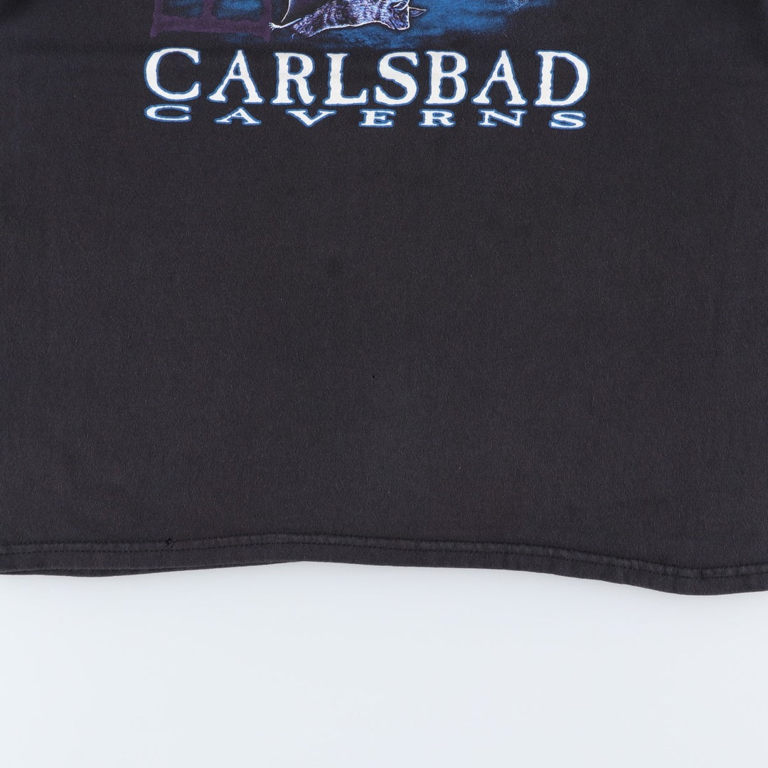 Delta PRO WEIGHT Bat Pattern Animal T-Shirt (Women's Size M) cotton black type Vintage Second Hand