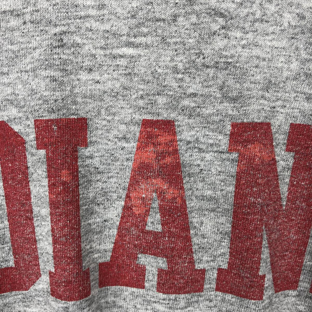 Nike Team College T-Shirt, Made in USA, Men's Size L (approx.) cotton gray type Vintage Second Hand