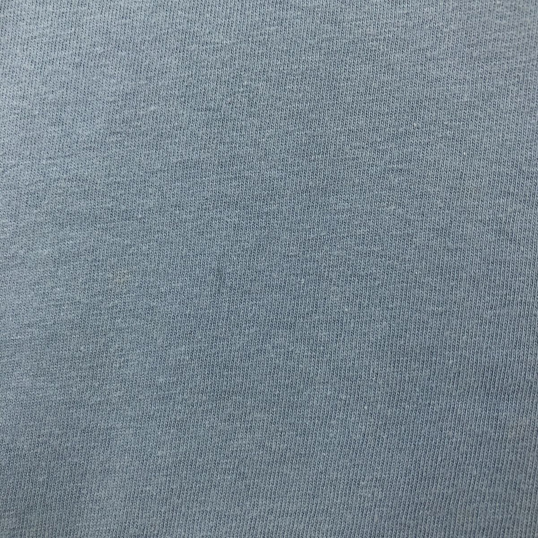 90'S Harley-Davidson Hanes BEEFY-T Eagle Pattern Motorcycle T-Shirt, Made in USA, Men's XL equivalent. cotton Blue type light blue Vintage Second Hand