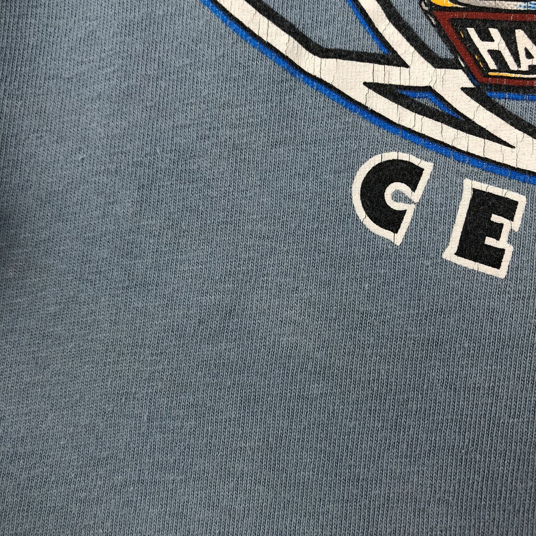 90'S Harley-Davidson Hanes BEEFY-T Eagle Pattern Motorcycle T-Shirt, Made in USA, Men's XL equivalent. cotton Blue type light blue Vintage Second Hand