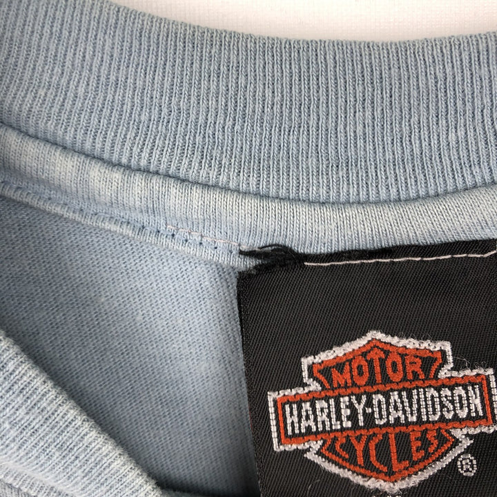 90'S Harley-Davidson Hanes BEEFY-T Eagle Pattern Motorcycle T-Shirt, Made in USA, Men's XL equivalent. cotton Blue type light blue Vintage Second Hand